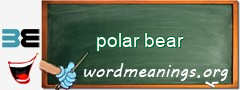 WordMeaning blackboard for polar bear